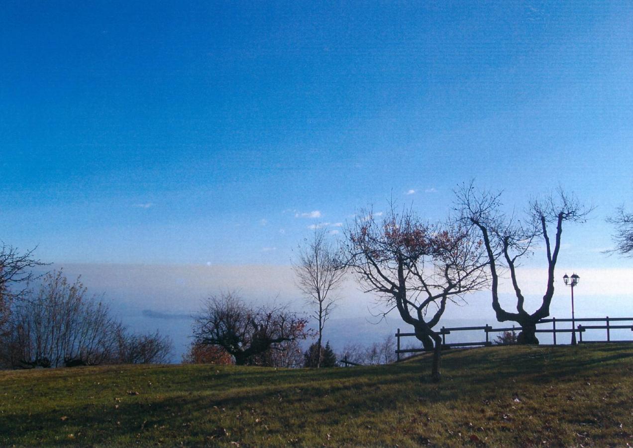 La Fiocchina - Magic Place - Apartments & Studios In Garda Lake - Countryside Farmhouse, Inside The Middle Of The Lake Salò Екстериор снимка